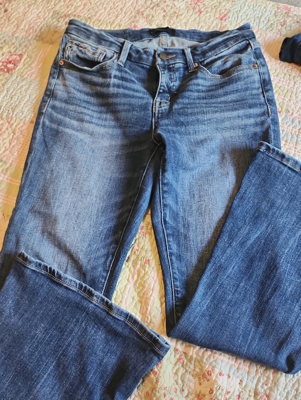 Buckle Women's Medium Blue Bootcut Jeans
